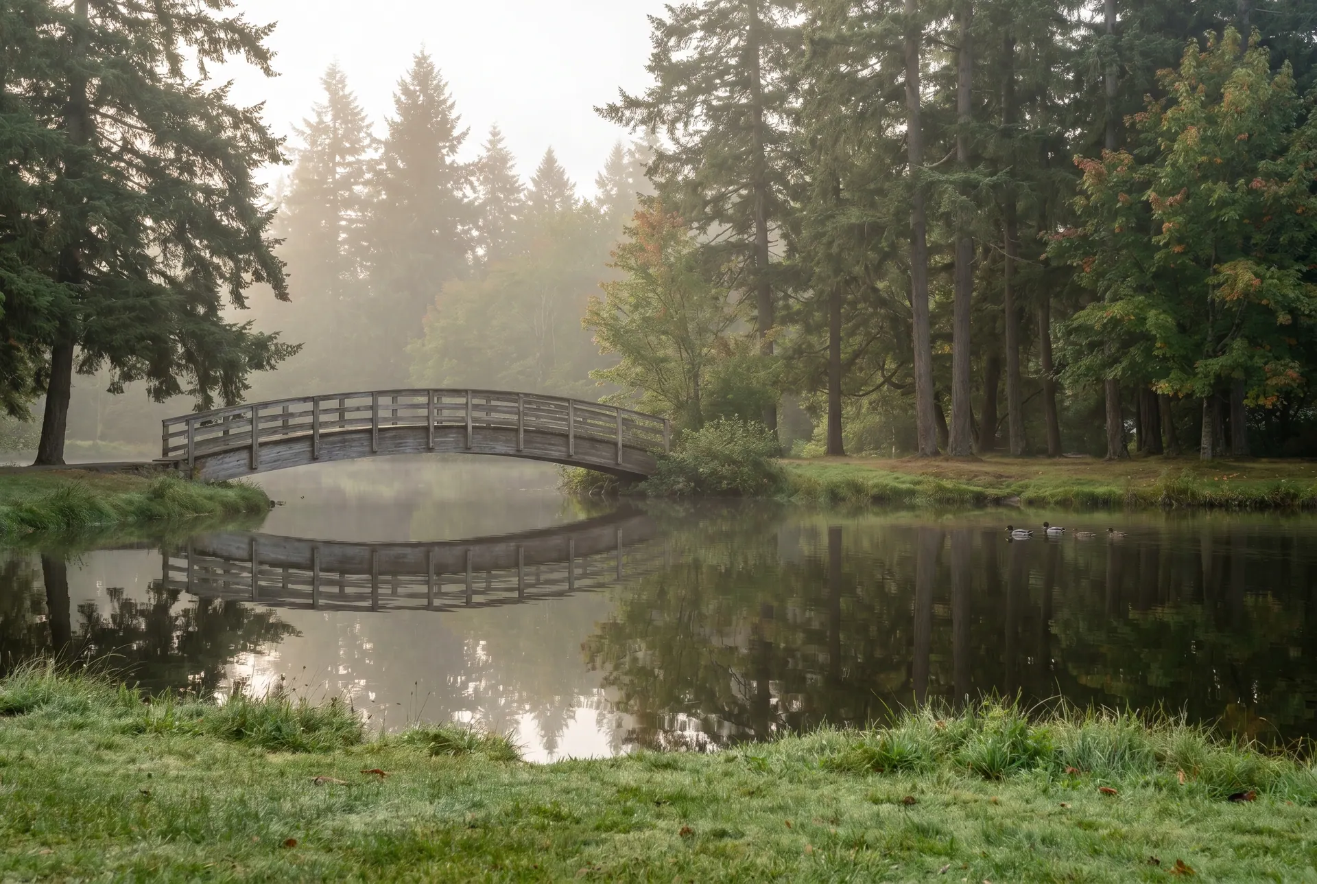 Scenic Pacific Northwest park in Lacey, WA